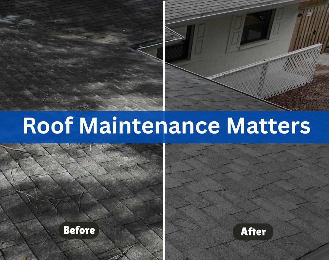 Brevard County Roof Maintenance: Why Regular Inspections Save You Money