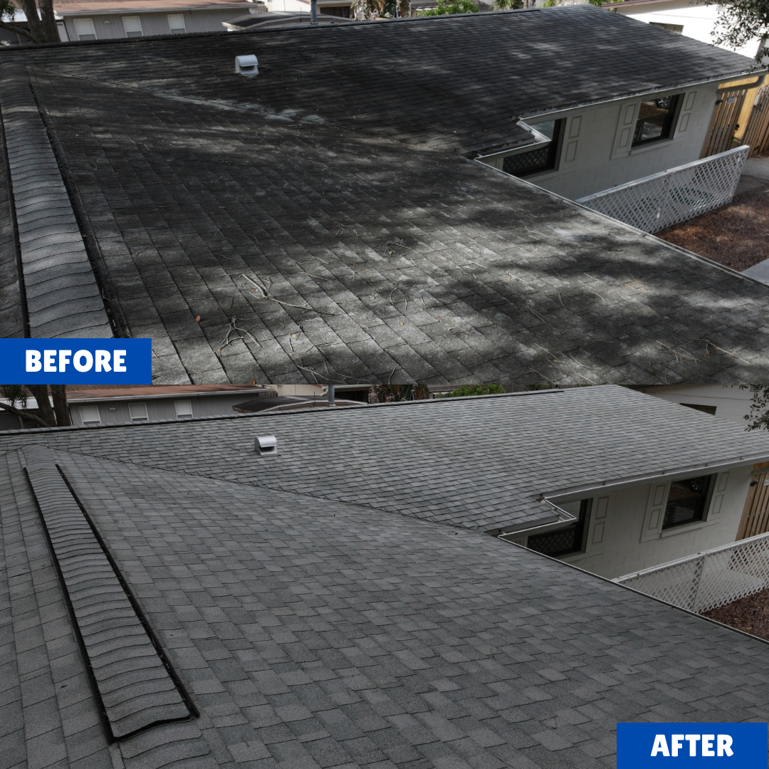 Roof Soft Washing in Brevard County: Safe & Effective Roof Cleaning